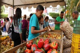 Cesta Petare | Se requieren 33 dólares para adquirir ocho productos de la Canasta Alimentaria