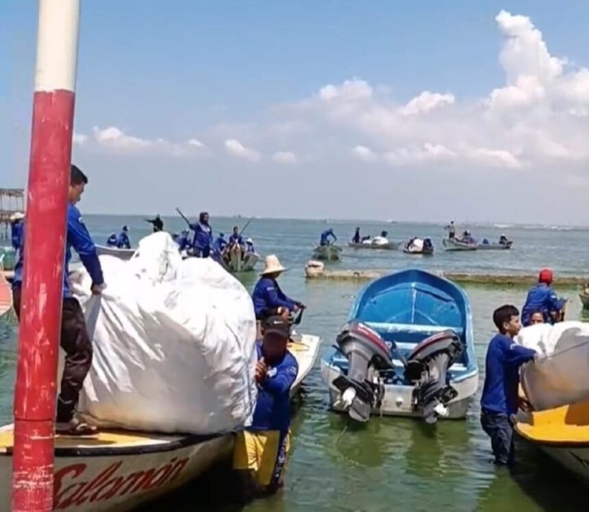 Gobierno nacional ha recolectado 278 toneladas de plástico del Lago de ...