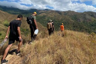 Incendios forestales Carabobo Jóvenes pro el Clima