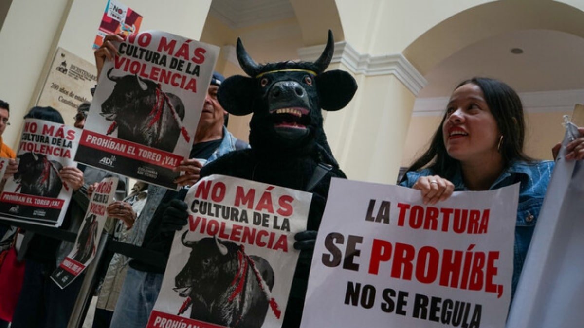 Petro oficializó ley que prohíbe las corridas de toros en Colombia - El ...