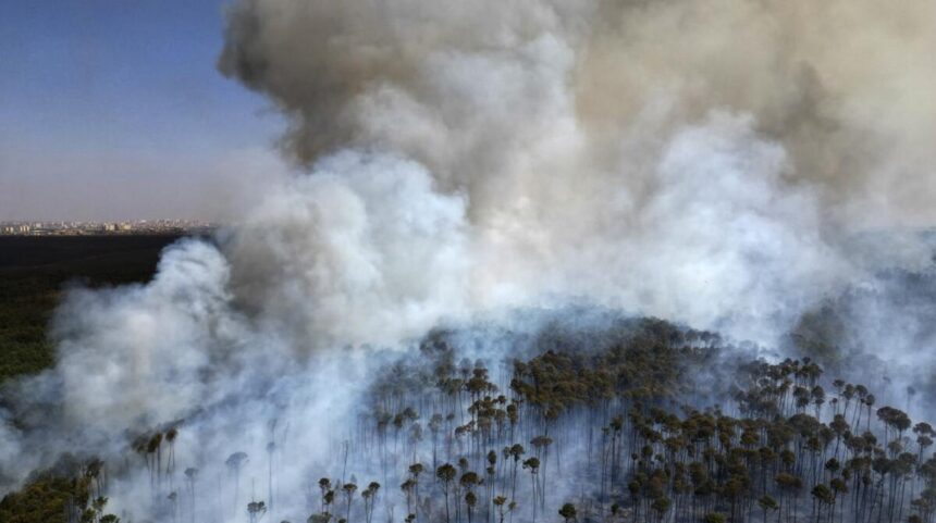 Humo de los incendios en la Amazonía llega a Argentina - El Publico TV
